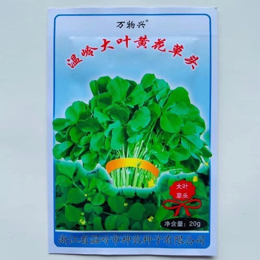 沭阳县草头食用秧草金花菜种籽黄花草头三叶菜种子农家蔬菜野菜籽四季播