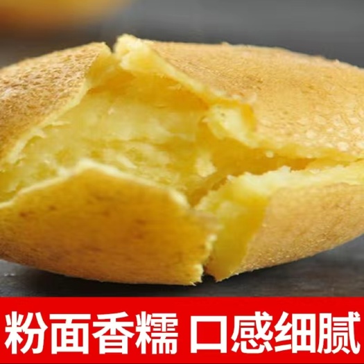 定西黄心土豆 甘肃土豆.定西万亩土豆大量批发、2022年低价出售
