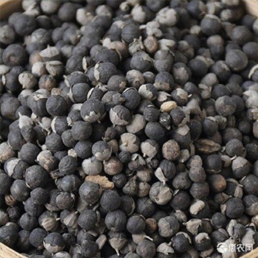 罗定市农家一手曼荆子，干货。量大