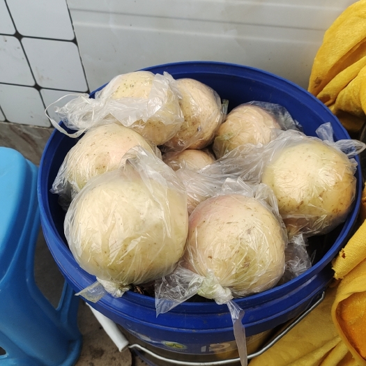 蒙自市蒙自石榴
