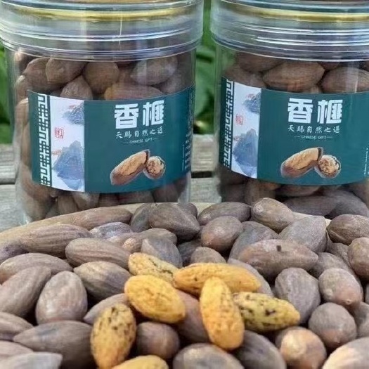 杭州香榧