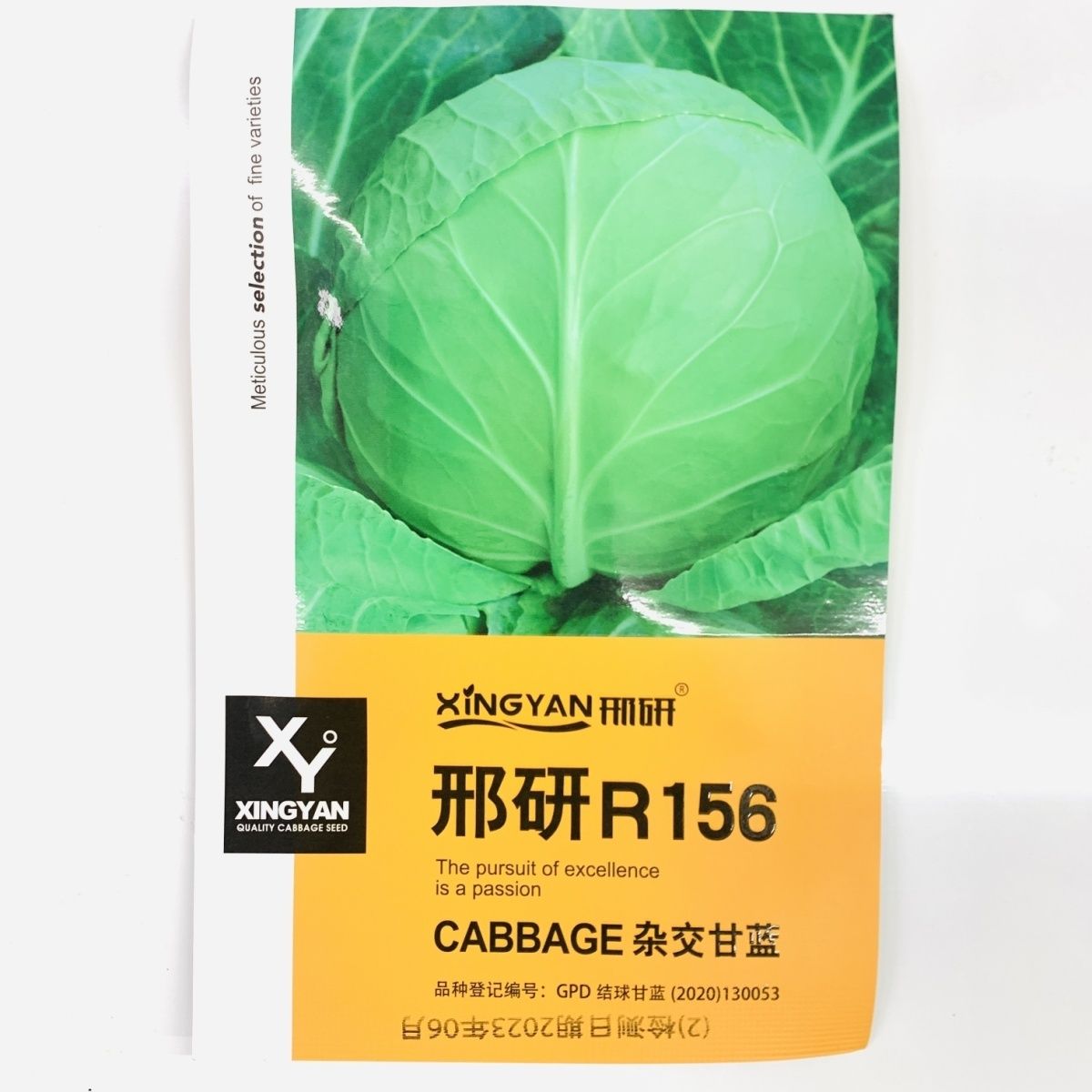 中早熟产高鲜食圆球形甘蓝种籽基地包菜卷心菜种球型珍绿甘蓝
