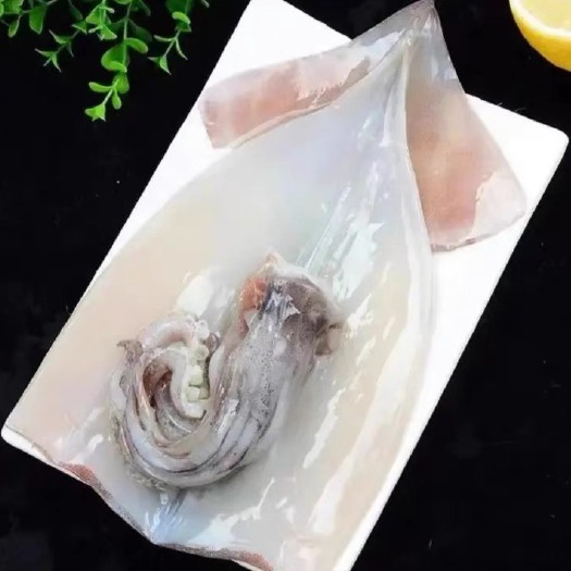 连云港大鱿鱼鲜活冷冻带头带须整只鱿鱼去皮去内脏去眼睛海鲜海捕鱿