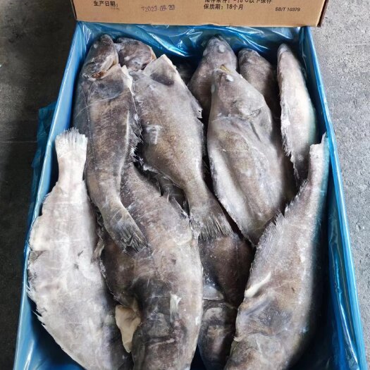 济南单冻鲽鱼