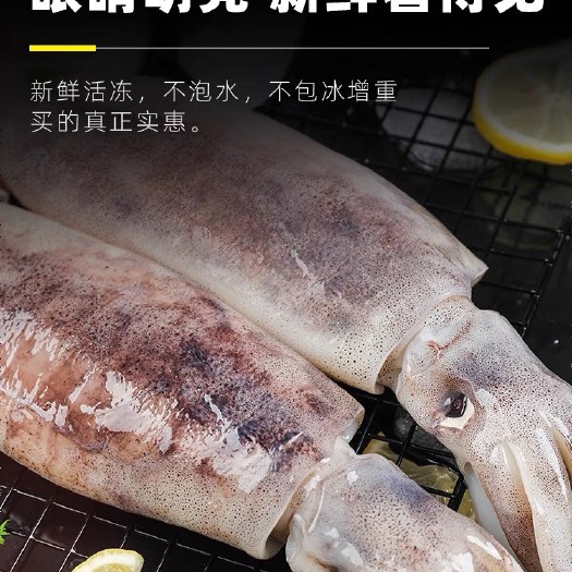 连云港新鲜速冻原浆大鱿鱼五斤连云港发货