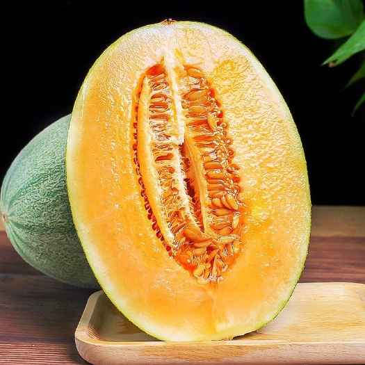 天津小蜜25哈密瓜