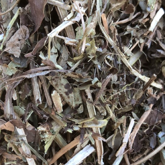 方城县袋装花生秧