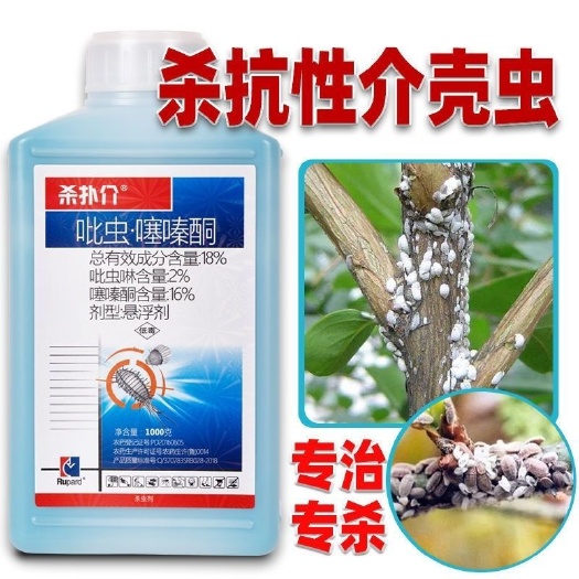 潍坊18%杀扑介吡虫啉噻嗪酮蚧壳虫专用果树花卉多肉蚧必治杀卵杀虫