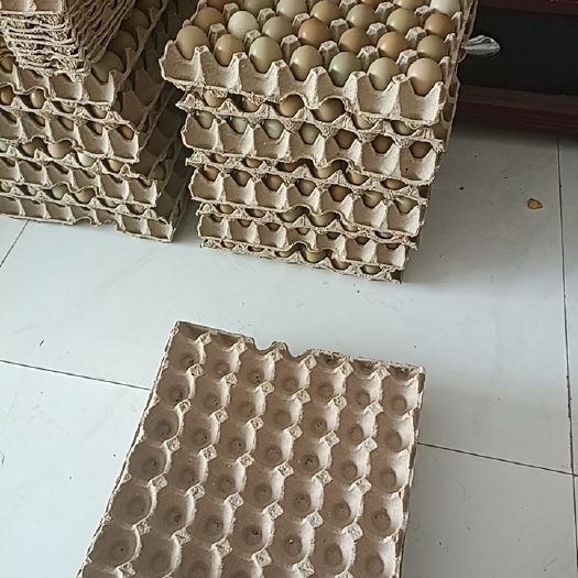 乐陵市鸡蛋