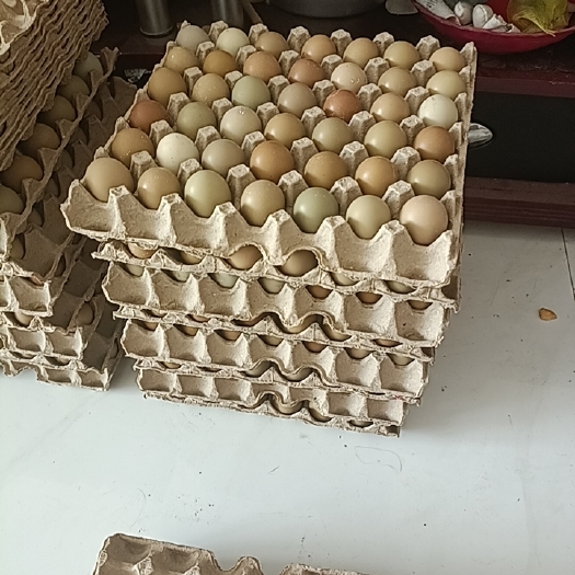 乐陵市鸡蛋，