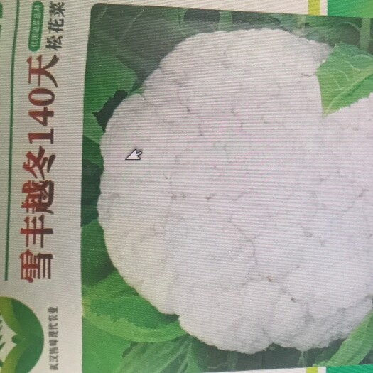 武汉越冬雪丰菜花种子