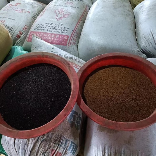 湖口县油菜籽