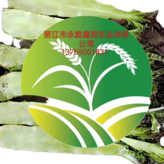永胜县永胜县鑫蕊农业供应链