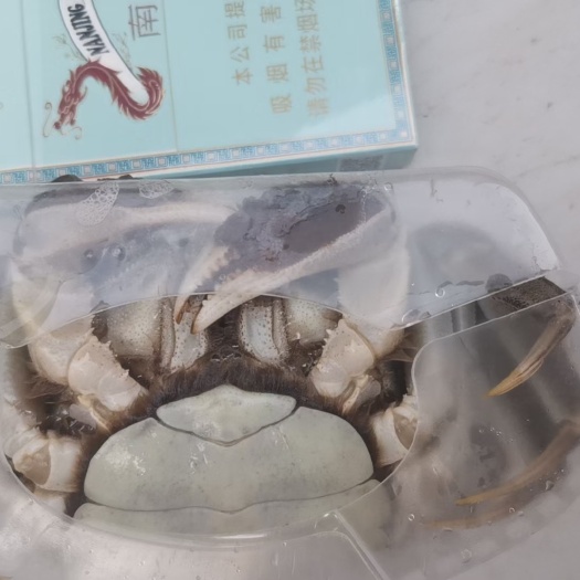 安新县大闸蟹
