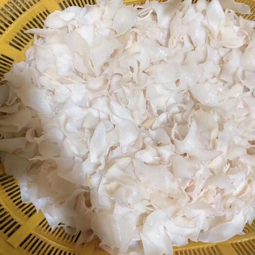 白螺片 黄金鲍片