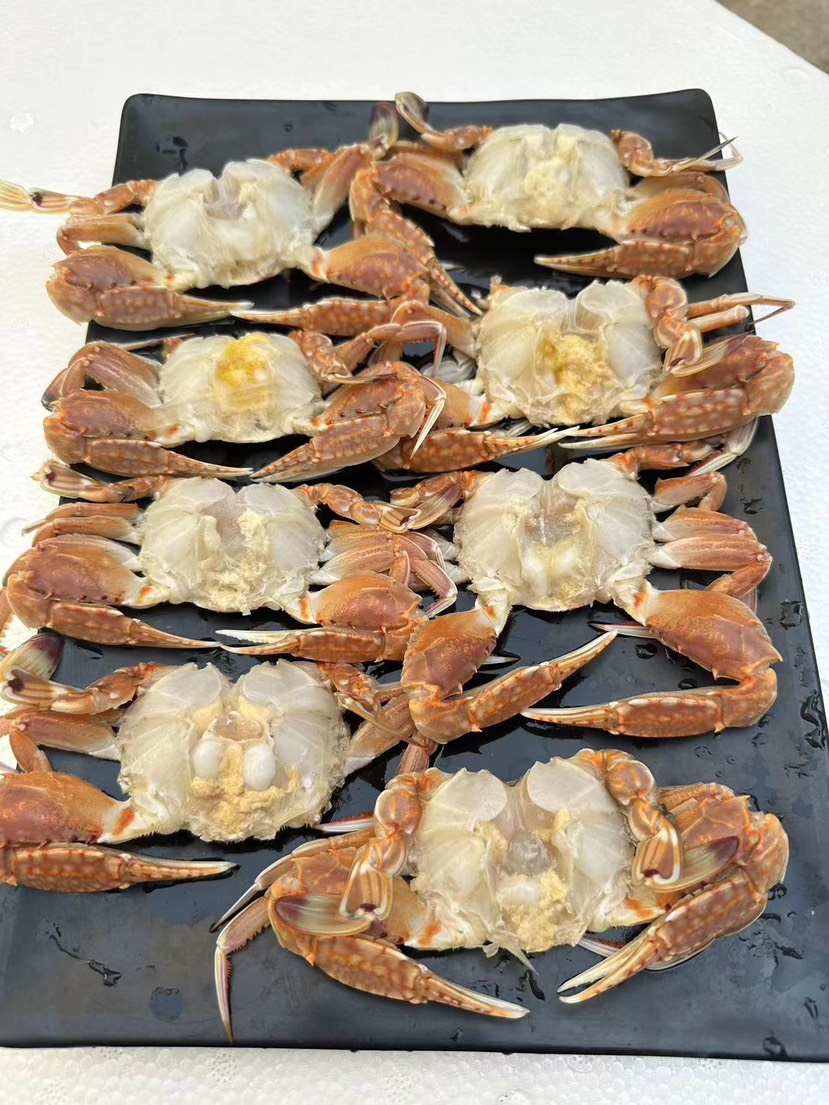 连云港红花蟹螃蟹扁蟹蟹排捞汁食材海洋蟹新鲜海鲜水产批发