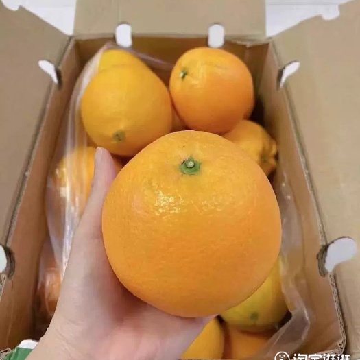 寻乌赣南脐橙一件代发代收代办供应电商社区团购商超直播一条龙服