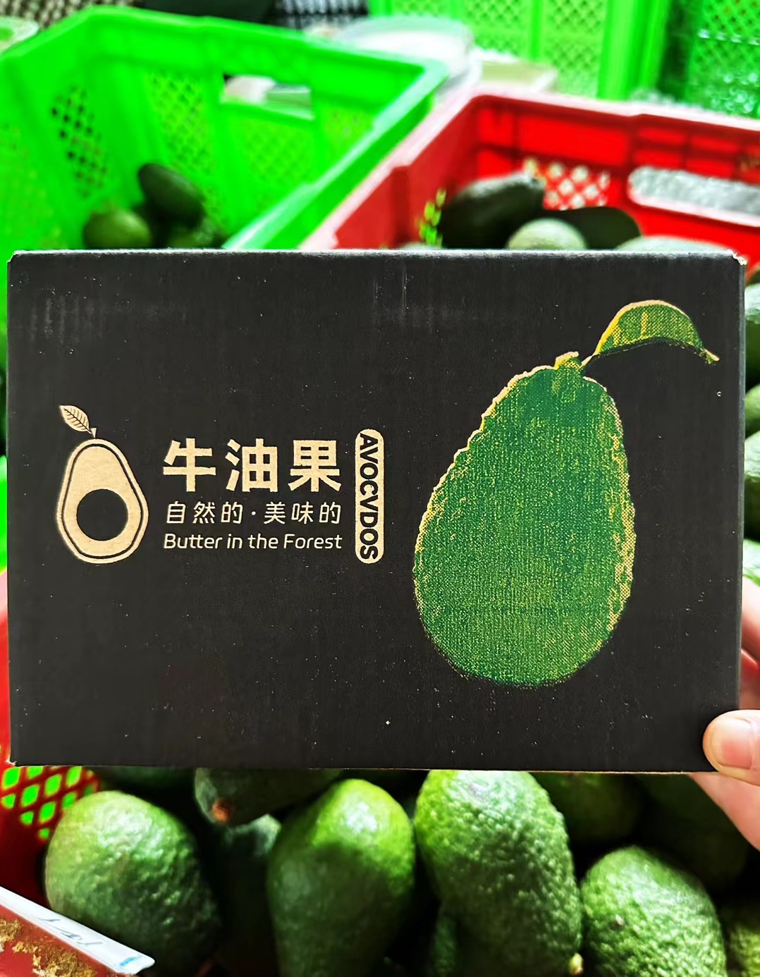 云南孟连哈斯牛油果果肉很柔软香滑不腻油分含量很多口感顺滑清香