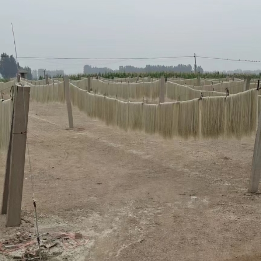 招远市烟台招远纯手工地瓜粉条红薯粉条