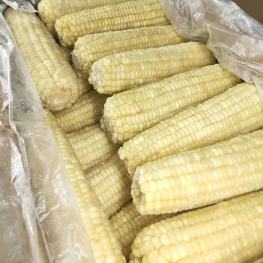 吉林省松原市乾安县速冻糯玉米