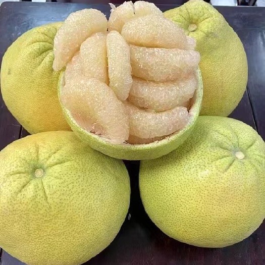 仙游县仙游度尾文旦柚，无孔精品果