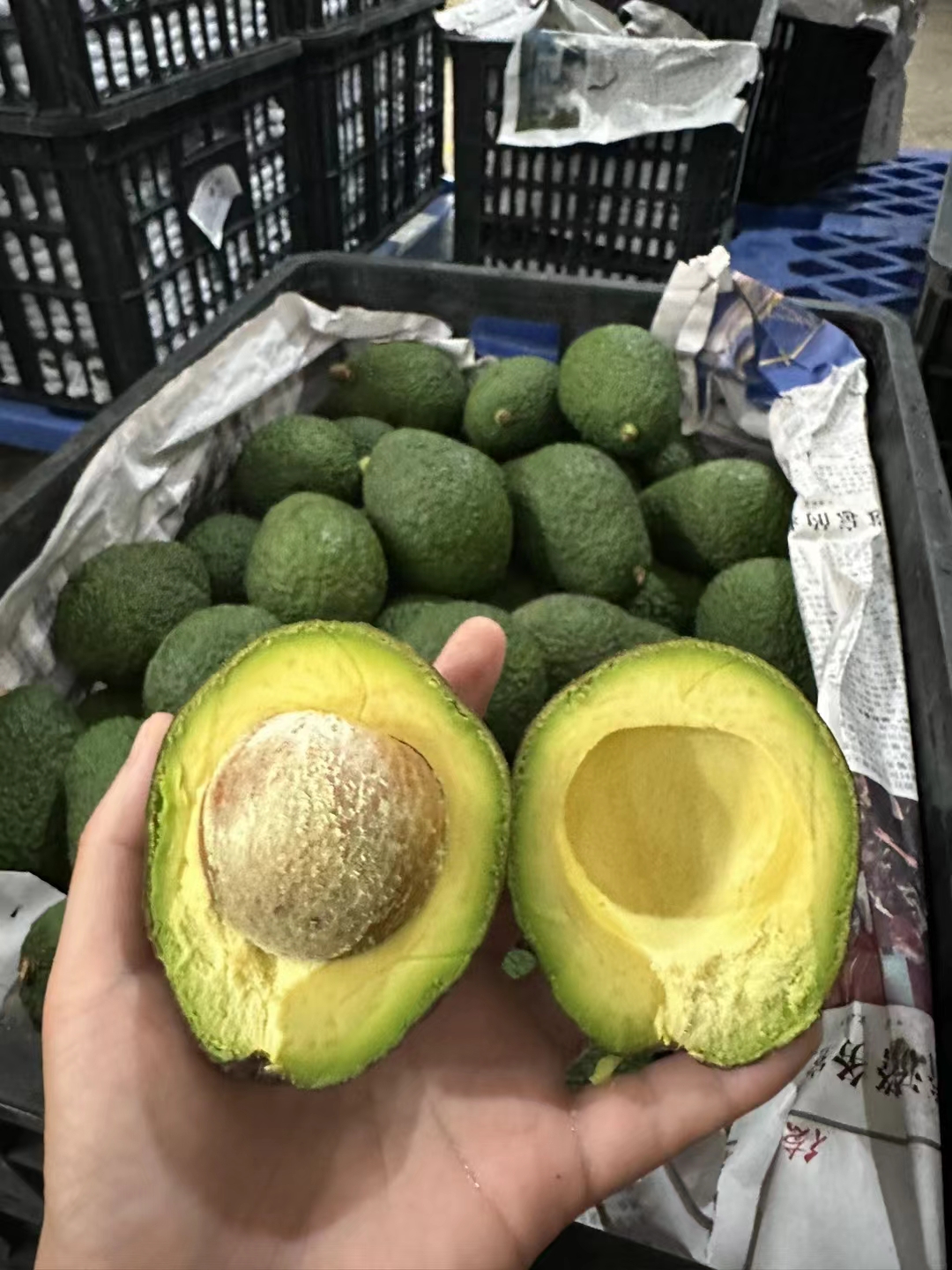 云南孟连哈斯牛油果果肉很柔软香滑不腻油分含量很多口感顺滑清香