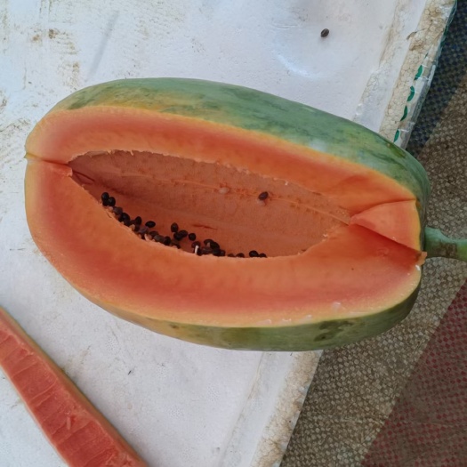 南宁广西无籽木瓜供应，需要请来电咨询，诚信经营，质量保证按需做货