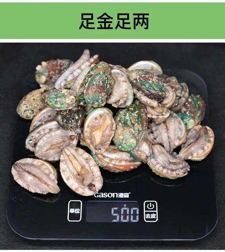 鮮凍鮑魚20斤/件 30-40頭新鮮速凍小鮑魚整件包郵批