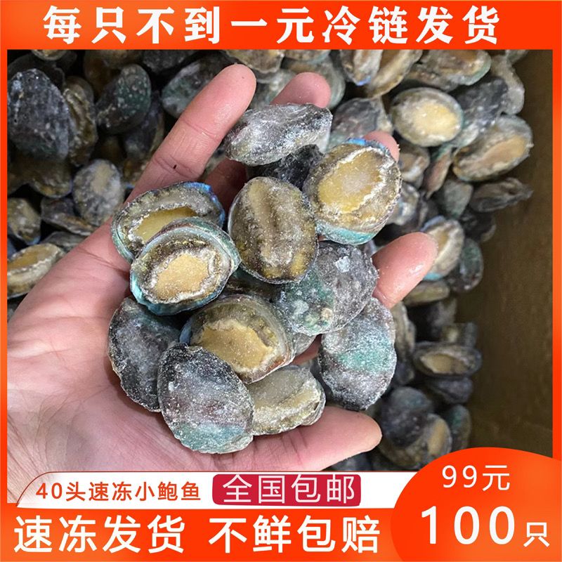 鮮凍鮑魚20斤/件 30-40頭新鮮速凍小鮑魚整件包郵批