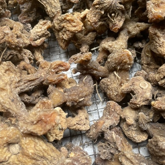 福贡县甜黄精