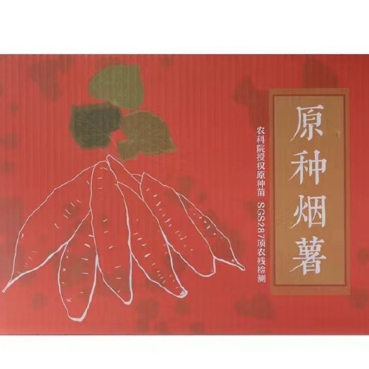 夏津县烟薯25 蜜薯1～3两小果 2024年新鲜地瓜番薯糖心蜜薯