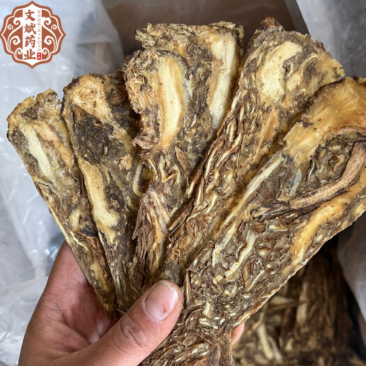 鄄城县【文斌药业】当归佛手片 当归压片 中心片无硫货