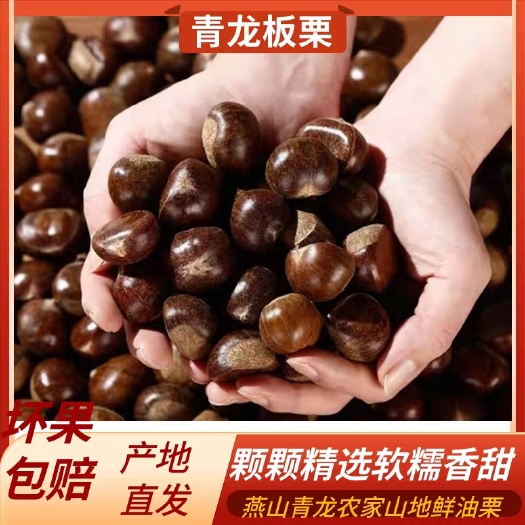 【元旦钜惠】24年新货青龙板栗软糯香甜皮薄规格齐全坏果包赔