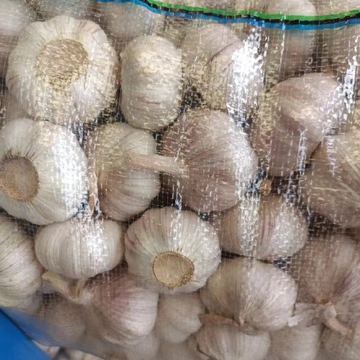 平邑县六个半的干蒜 白皮蒜 商超 市场 电商 出口供应