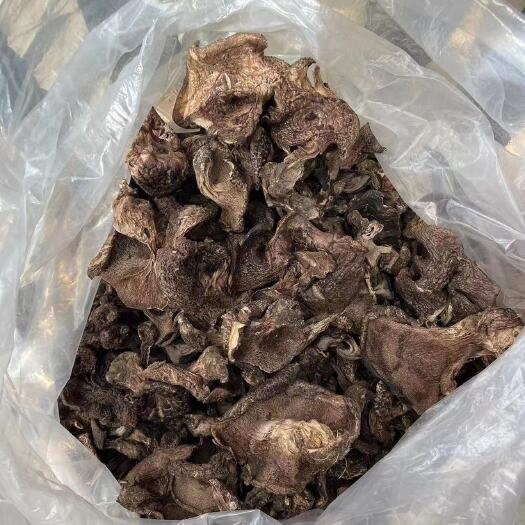 广州云南高海拔黑虎掌干片
