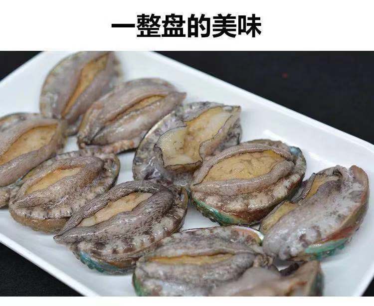 鮮凍鮑魚20斤/件 30-40頭新鮮速凍小鮑魚整件包郵批