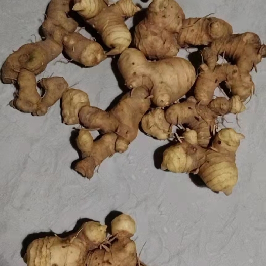株洲黄精