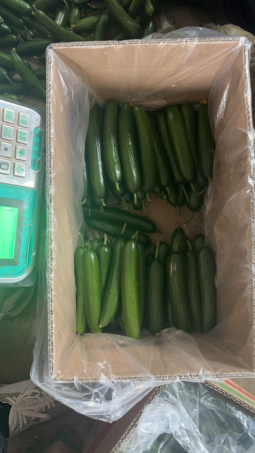 精品水果黄瓜，现采现发对接各电商平台