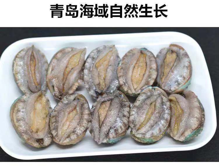 鮮凍鮑魚20斤/件 30-40頭新鮮速凍小鮑魚整件包郵批