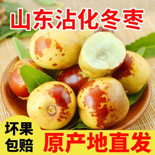 滨州甜冬枣脆甜大枣现摘山东沾化非大荔冬枣新鲜水果枣