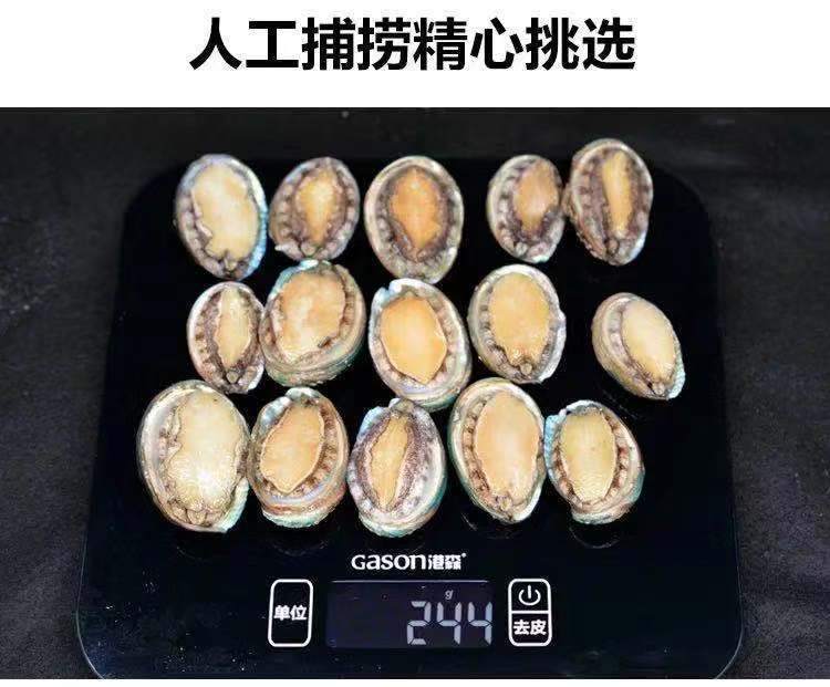 鮮凍鮑魚20斤/件 30-40頭新鮮速凍小鮑魚整件包郵批