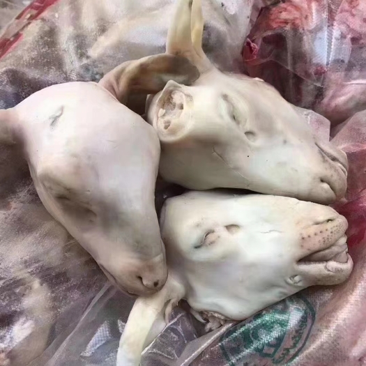 中牟县羊头