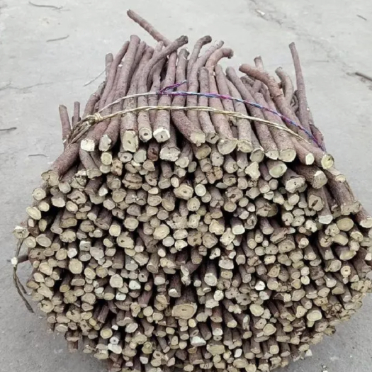 武汉大量甘草需要跟我联系