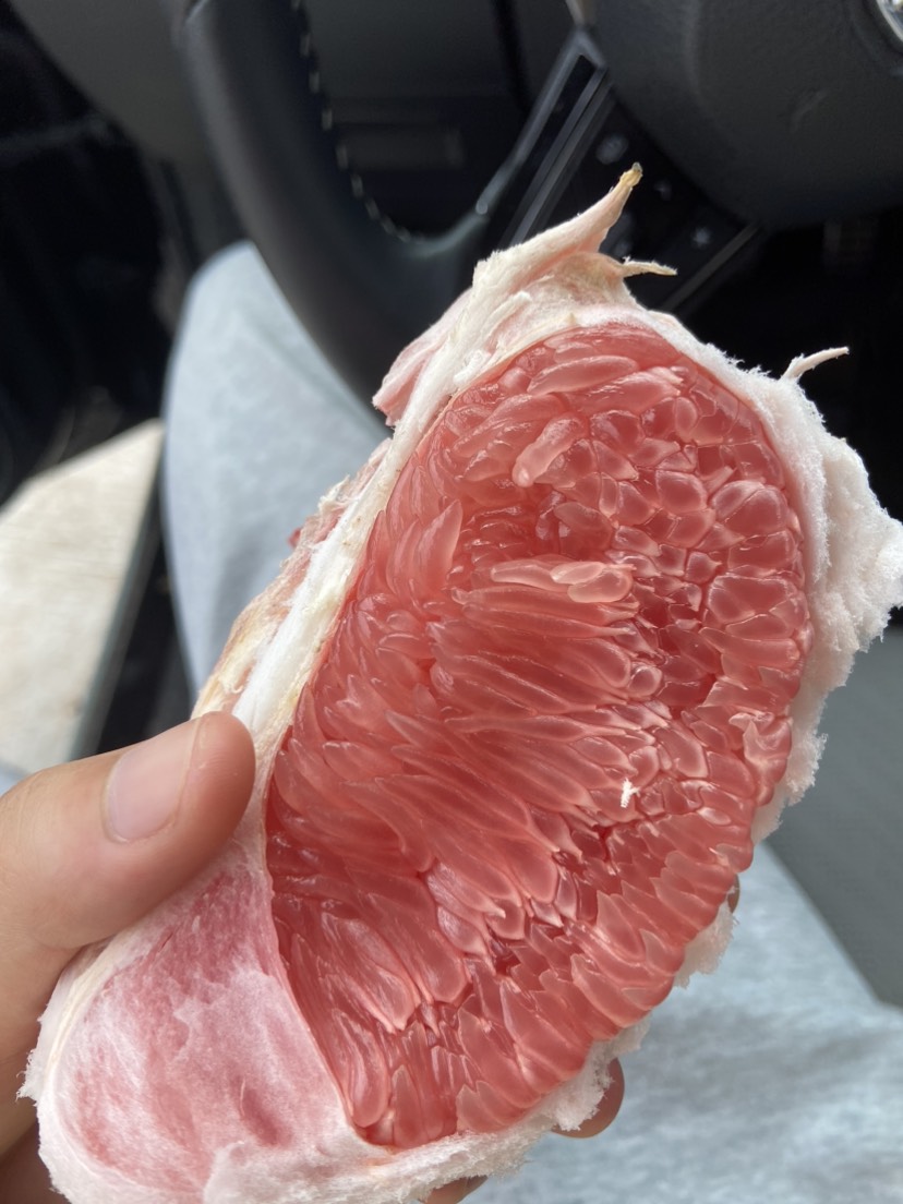 红心柚 三红柚