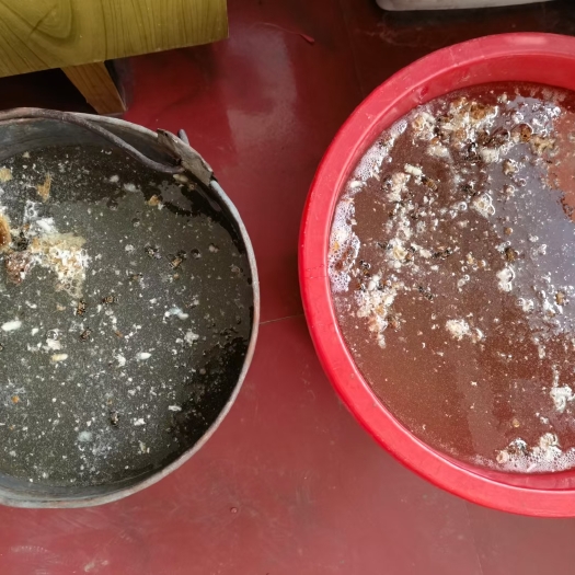 承德自家产荆烧花蜜
