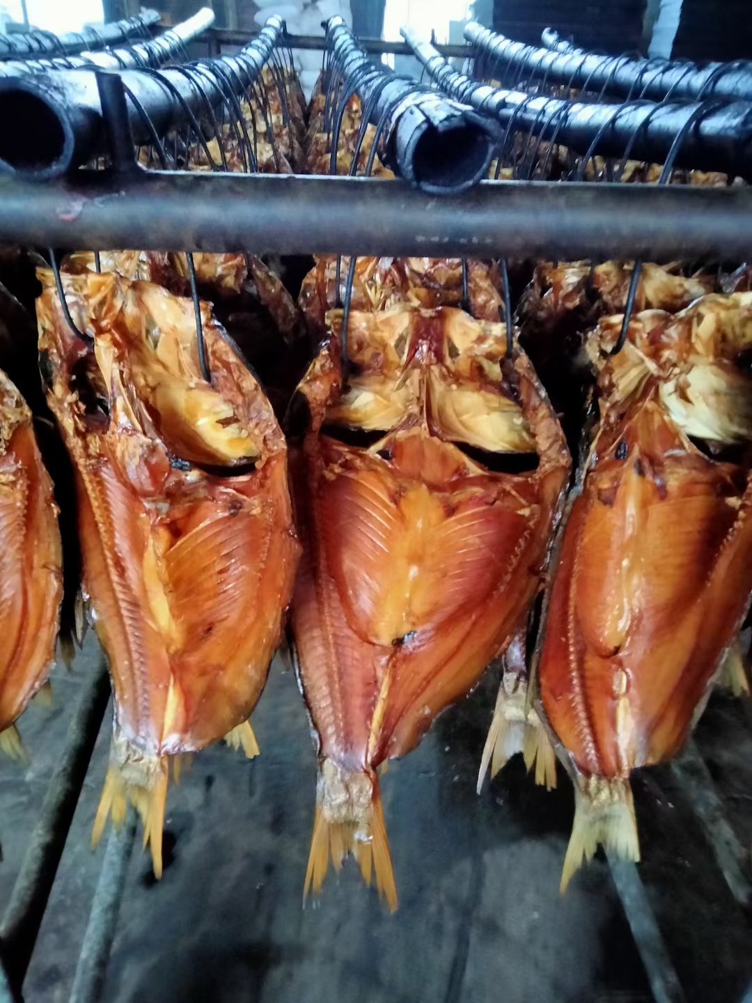 生態(tài)臘鰱魚 風(fēng)干魚 臘鰱魚塊 整只 特產(chǎn)