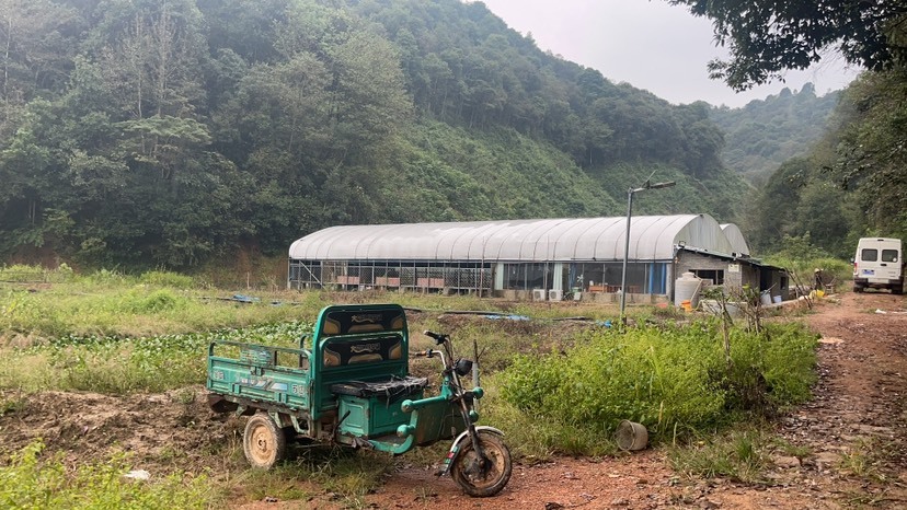 我有场地邀你来加入黄粉虫养殖