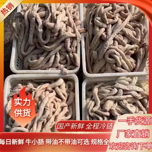 汕头国产新鲜，带油  牛小肠，厂家直销￼一手货源！