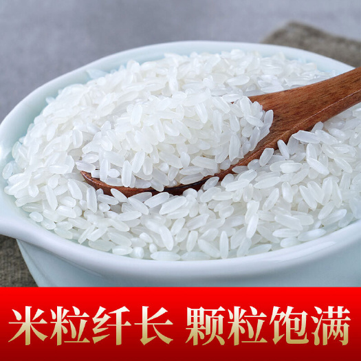 临沂长粒香  现货批发东北长粒香  圆粒大米 熬粥原料袋装50斤