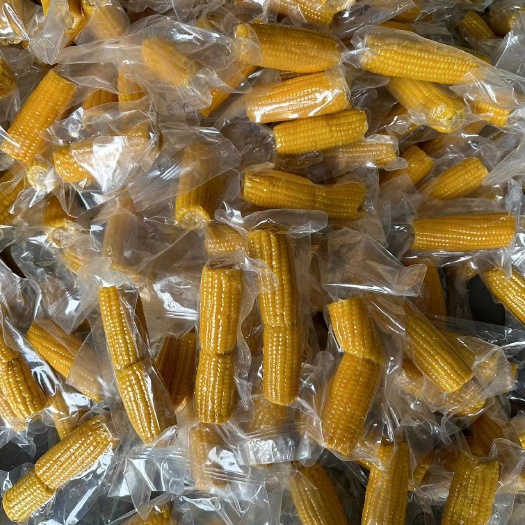 集贤县东北黄糯玉米工厂